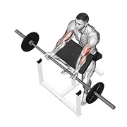 curl predicador con barra
