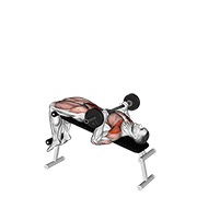 flexión abdominal con barra