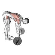 extensión abdominal con barra parada