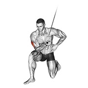 extensión de tríceps en cable (sobre rodilla)