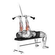 curl cerrado acostado en cable