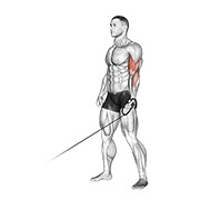 curl con cable a un brazo
