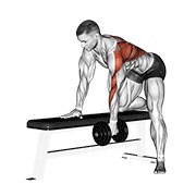 remo con mancuerna a una mano