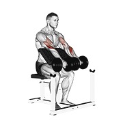 curl predicador inverso con mancuernas