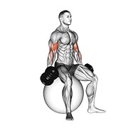 curl de bíceps con mancuerna sentado (en pelota de estabilidad)