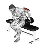 extensión de tríceps con mancuerna sentado de un brazo