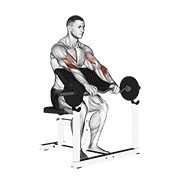 curl predicador con barra ez agarre inverso