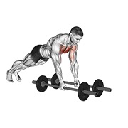 pectoral con barra en el piso