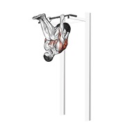 remo invertido v. 2