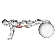 flexión de cadera (en pelota de estabilidad)