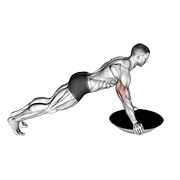 flexión de brazos (pelota bosu)