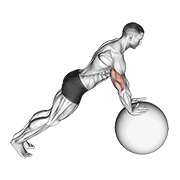 flexión de brazos (en pelota de estabilidad)