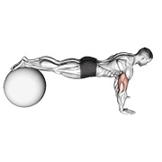 flexión de brazos (en pelota de estabilidad)
