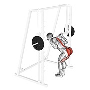 buenos días con rodillas flexionadas en smith machine