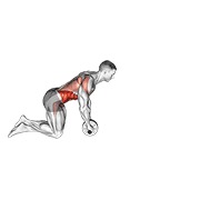 extensión con rueda abdominal