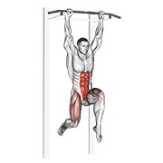 sprints cortos