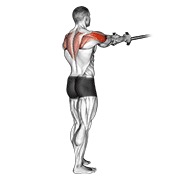 elevación lateral inversa con banda
