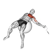 vuelo con cable en un brazo sobre pelota de ejercicio