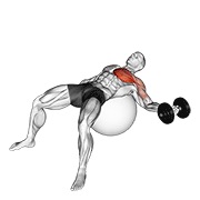 press de pecho con mancuerna en un brazo sobre pelota de ejercicio