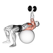 flexión con mancuerna de un brazo sobre pelota de ejercicio