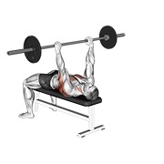 barra arqueada con brazos flexionados