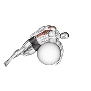 estiramiento de dorsal con pelota de estabilidad acostado de lado
