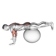 elevación de piernas en prone sobre pelota de estabilidad