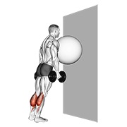 elevación de talones en pared con pelota de ejercicio