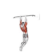 dominada muscular (en barra vertical)