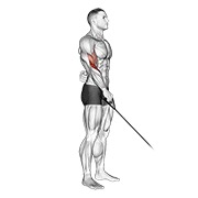 curl inverso con cable a un brazo