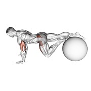 rotación de la parte inferior del cuerpo en pronación con una pierna sobre pelota de estabilidad