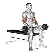 flexiones de brazos con barra ez sentado