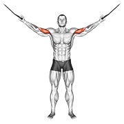 curl overhead con cable
