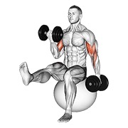 curl alterno de bíceps con mancuerna y pierna levantada en balón de ejercicio