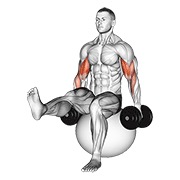 curl de bíceps con mancorna en pelota de ejercicio con pierna levantada