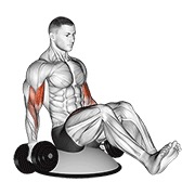 curl de bíceps con mancuerna sentado en bosu ball