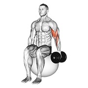 curl de bíceps con mancuerna en un brazo sentado en pelota de ejercicio