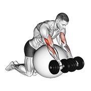 curl de predicador con mancuerna sobre pelota de ejercicio