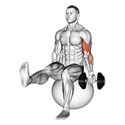 curl de bíceps con mancuerna sentado en pelota de ejercicio con una pierna levantada