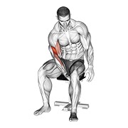 curl de bíceps con concentración con piernas