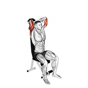 extensión de tríceps sentado con mancuerna