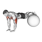flexión de brazos estrecha en pelota de estabilidad