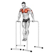 flexión de pecho en barras paralelas altas con agarre ancho