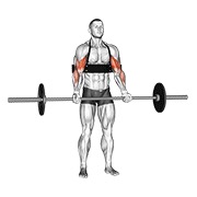 curl de bíceps con barra (con arm blaster)