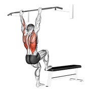 flexiones en banco