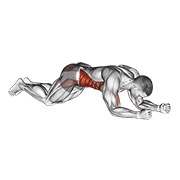 plancha de rodillas con toque de hombro (hombre)