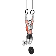 flexión muscular con peso