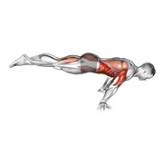 flexión de pecho en posición de planche completa
