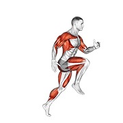 rodillo abdominal